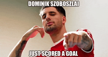 Dominikszoboszlailover liverpoolfc dominikszoboszlai dominikszoboszlailover GIF