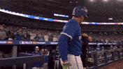 Home Run Baseball GIF by Toronto Blue Jays
