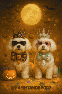 Dog Halloween GIF by HammyandBrody