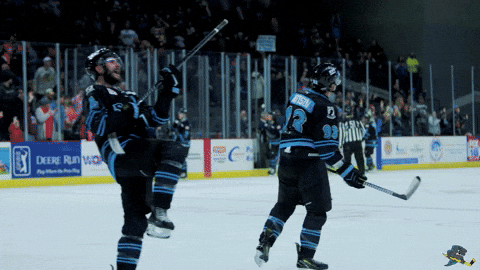Happy Fun GIF by Quad City Storm