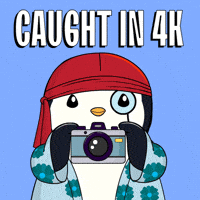 I See You Smh GIF by Pudgy Penguins