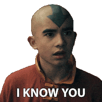 See Avatar The Last Airbender Sticker by NETFLIX