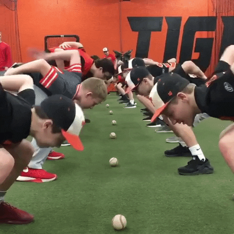 rawlingstigers baseball mlb rawlings rawlings tigers GIF