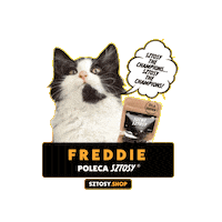 Dried Meat Cat Sticker by Sztosy.co