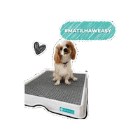 Sticker by Weasy