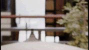music video sia GIF by David Guetta
