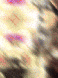 1 Pick Macc GIF by New 11