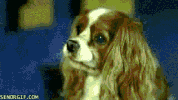 lady irl GIF