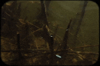 Music Video Acid GIF by Refresh Records
