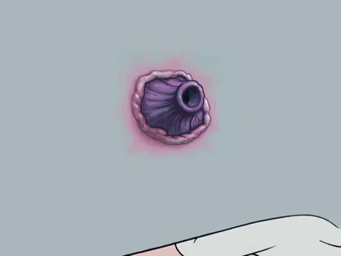 season 8 barnacle face GIF by SpongeBob SquarePants