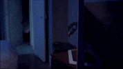Scared Put Em Up GIF by Pixhunters