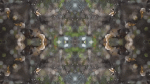 Art Love GIF by jorgemariozuleta