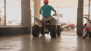 nbc GIF by Brooklyn Nine-Nine