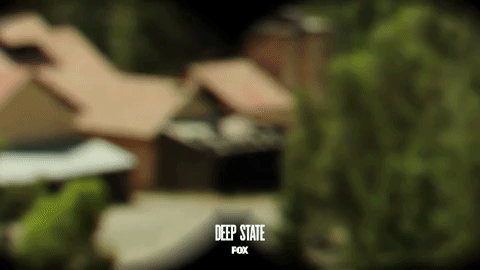 fox spying GIF