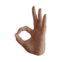 AisyahAbdMunir ok okay hand hands Sticker