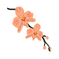 Flower Orchid Sticker by Pikku paperi