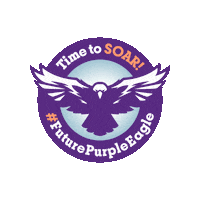 Nu Sticker by Niagara University