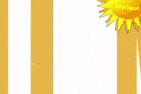 Greetings Hello GIF by Charli Gurl