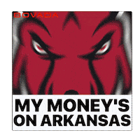 Arkansas Razorbacks Sticker by Bovada
