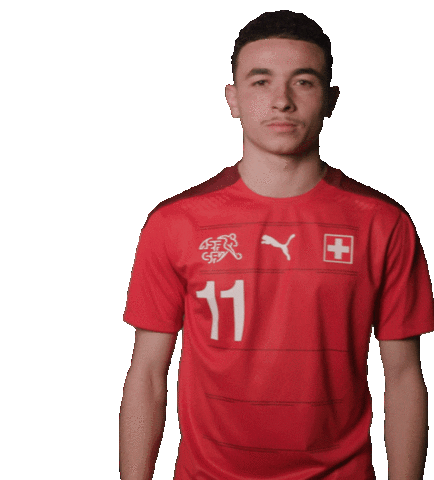 Look There Ruben Vargas Sticker by Swiss Football Association