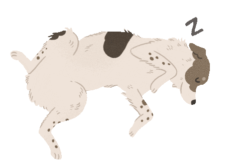 Animated Sticker