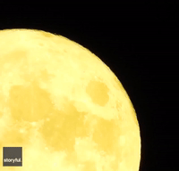 Photographer Captures Stunning Close-Up Video of Rare 'Blue' Moon