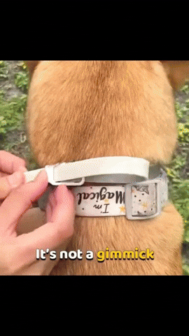 Your GIF