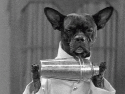 SHAKER DOG