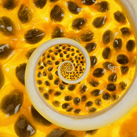 how to harvest passion fruit