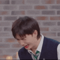 Stray Kids Skz GIF