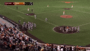 Texas Am Baseball GIF by Texas A&M University
