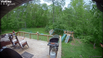 Angus the Angry Duck