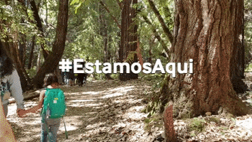 kids family GIF by Latino Outdoors