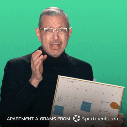 apartmentscom rent jeff goldblum roommate apartmentscom GIF