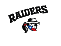 flavnt pride lgbtqia raiders flag football Sticker