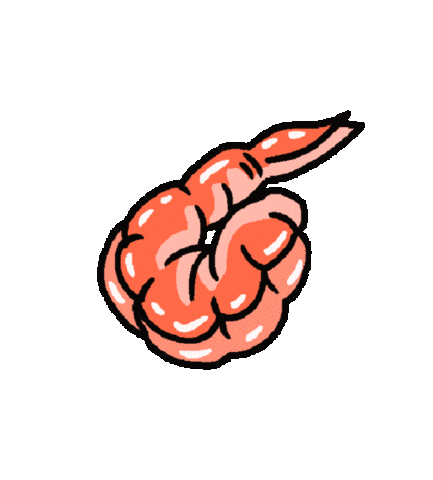 Shrimp Prawn Sticker by Sophie Rose Brampton