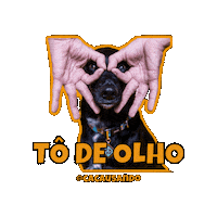 Cacausando cachorro cacausando cacauecookie todeolho Sticker