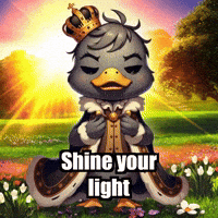 Shine Your Light Joy GIF by sirduckbeth