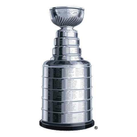 Happy Ice Hockey Sticker by NHL