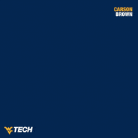 Baseball GIF by WVU Tech Golden Bears