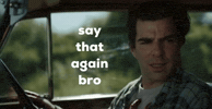 Browhat Theresnoway GIF