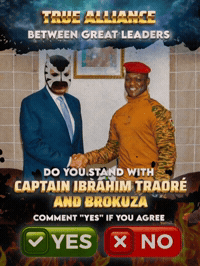 Do You Agree Burkina Faso GIF