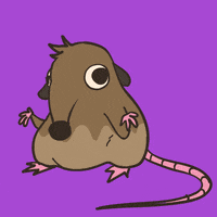 Question What GIF