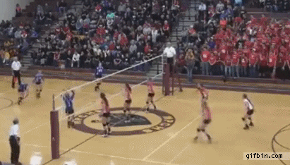 people volleyball GIF