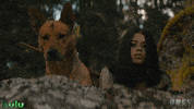 Amber Midthunder Dog GIF by 20th Century Studios