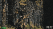 Amber Midthunder Predator GIF by 20th Century Studios