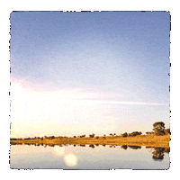 Rustico Duvido Sticker by Zezé Di Camargo