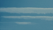 New England Guitar GIF by Topshelf Records