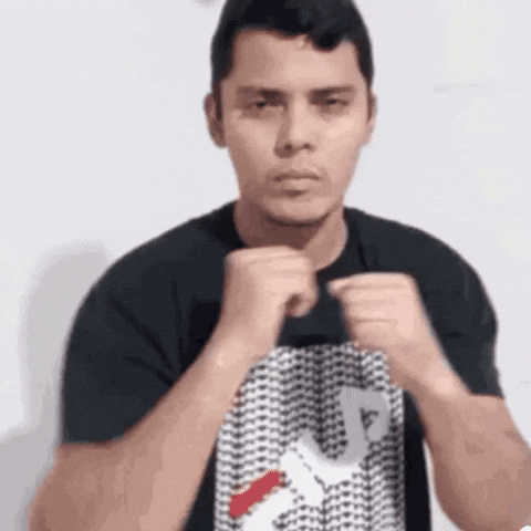 Fight GIF