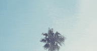 Double Fantasy GIF by The Weeknd